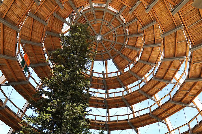 Bayerischer Wald Baumwipfelpfad